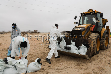 Oil spill clean-up of Anapa beaches