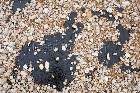 Oil spill clean-up in Sevastopol