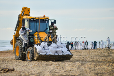 Уборка пляжей в Анапе после разлива мазута в Черном море