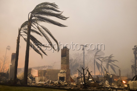 Palisades Wildfire forces thousands to evacuate in Los Angeles area