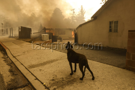 Wildfires force thousands of evacuations in Los Angeles area