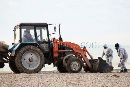 Oil spill clean-up of Crimean beaches