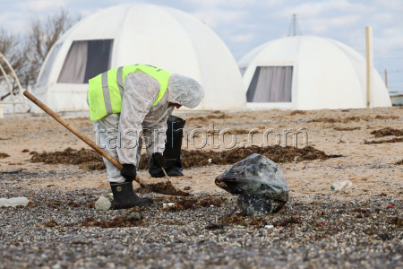 Oil spill clean-up of Crimean beaches