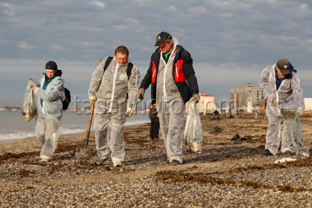Oil spill clean-up of Crimean beaches