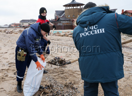 Уборка мазута в Запорожской области