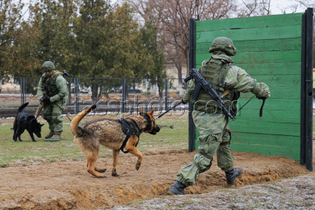Servicemen of Russian engineer unit undergo training in Rostov-on-Don Region