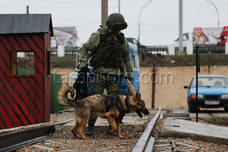 Servicemen of Russian engineer unit undergo training in Rostov-on-Don Region