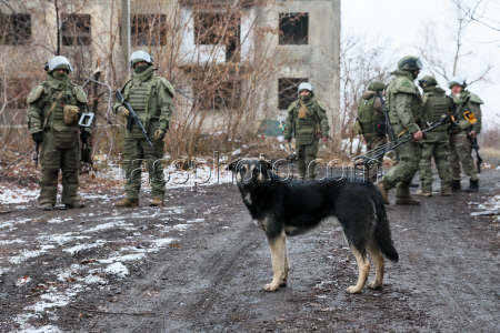 Engineer battalion deployed in Donetsk People's Republic