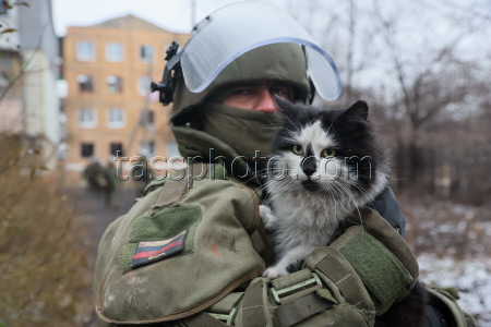 Engineer battalion deployed in Donetsk People's Republic