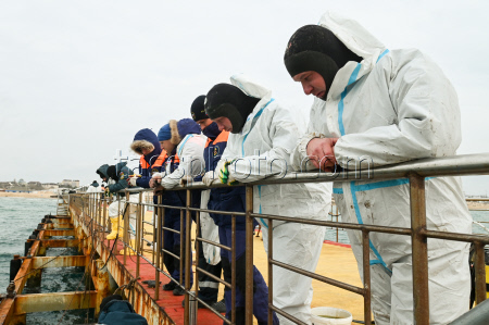 Seabed clean-up in Anapa, Russia