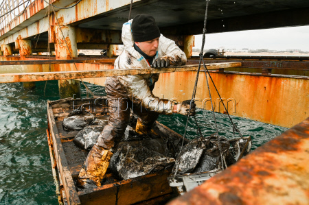 Seabed clean-up in Anapa, Russia