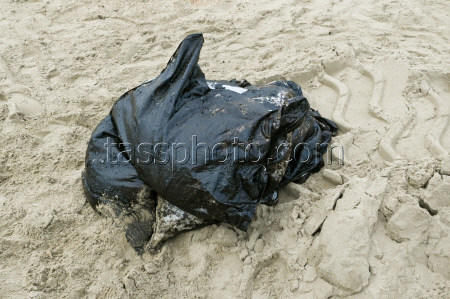 Seabed clean-up in Anapa, Russia