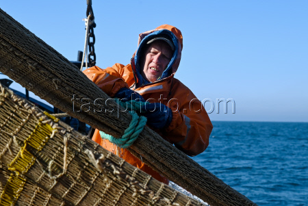 Anchovy fishing in Black Sea