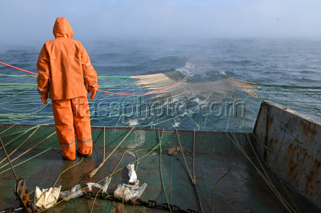 Anchovy fishing in Black Sea