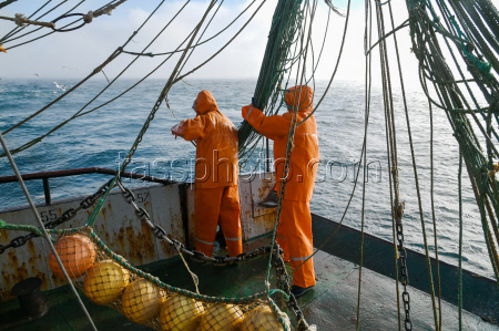 Ловля хамсы в Черном море