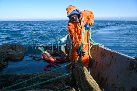 Ловля хамсы в Черном море