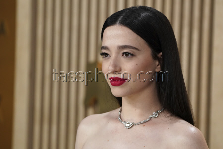 31st Annual SAG Awards - Arrivals.