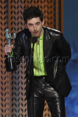 31st Annual SAG Awards - Show.
