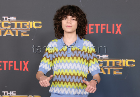 The Electric State World Premiere - LA
