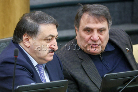 Russian State Duma in plenary session