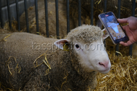 Agricultural Fair - Paris