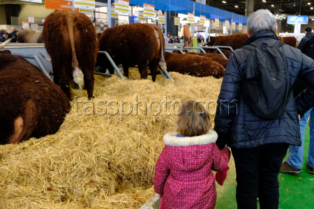 Agricultural Fair - Paris