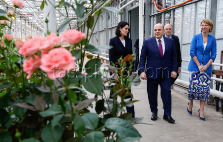 Russia's PM Mishustin at Podosinki greenhouse complex outside Moscow