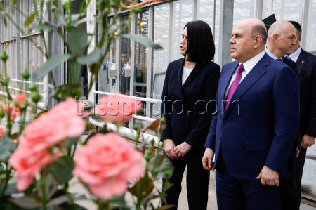 Russia's PM Mishustin at Podosinki greenhouse complex outside Moscow