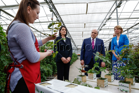 Russia's PM Mishustin at Podosinki greenhouse complex outside Moscow