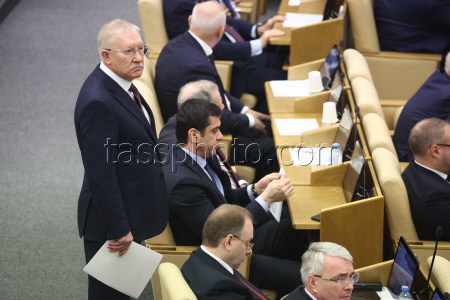 Plenary meeting of Russian State Duma