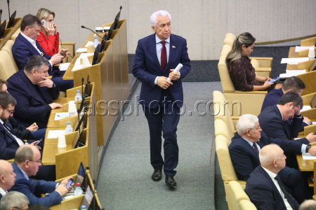 Plenary meeting of Russian State Duma