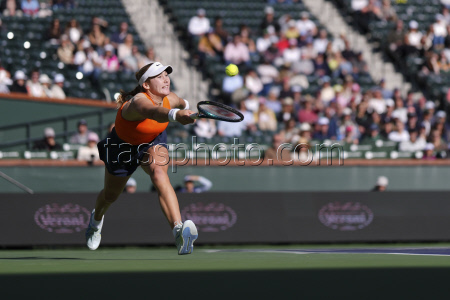 Indian Wells Tennis. Indian Wells Tennis