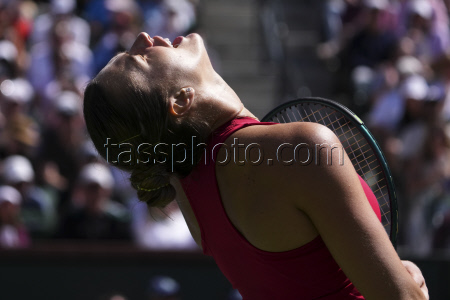 Indian Wells Tennis. Indian Wells Tennis