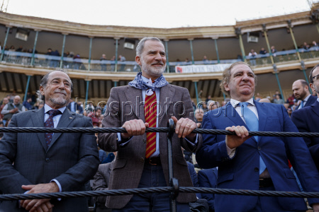 Fallas Festival in Valencia