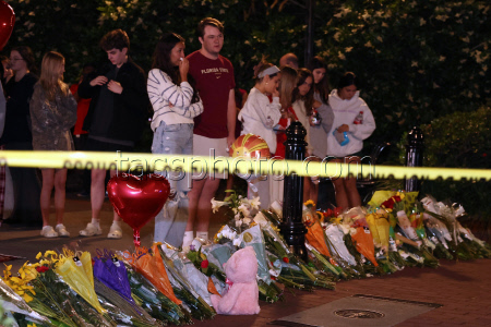 Florida State Shooter