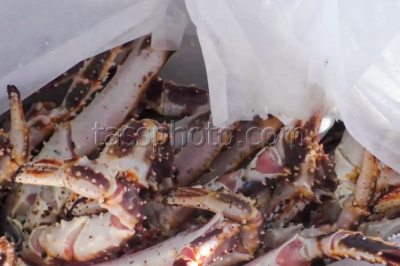 Security Service foils smuggling crabs out of Russia in Primorye Region