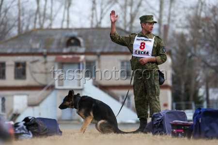 Dog handlers championship in Yekaterinburg, Russia