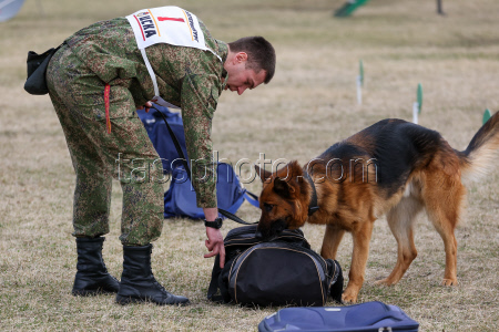 Dog handlers championship in Yekaterinburg, Russia