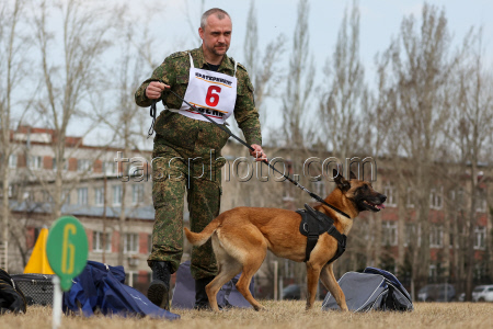 Dog handlers championship in Yekaterinburg, Russia