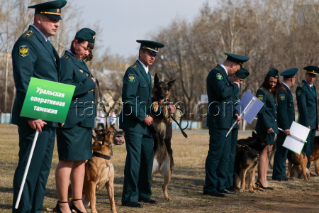 Dog handlers championship in Yekaterinburg, Russia