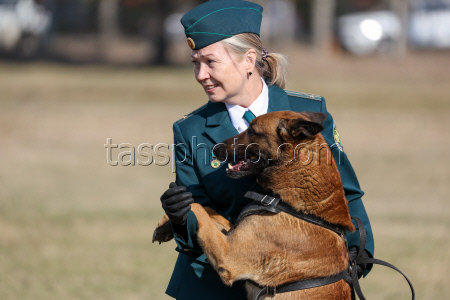 Dog handlers championship in Yekaterinburg, Russia