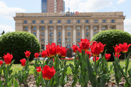 Donetsk in spring