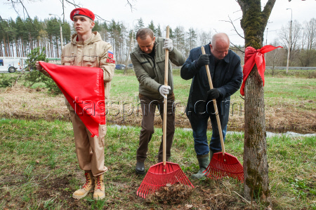 Spring clean-up by Flower of Life memorial in Leningrad Region, Russia