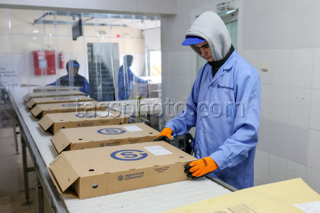 Fish processing plant in Sakhalin Region, Russia