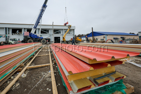 Fish processing plant in Sakhalin Region, Russia