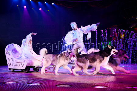 Prince of Circus show in Lugansk