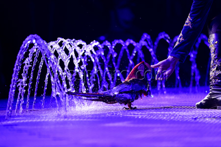 Prince of Circus show in Lugansk