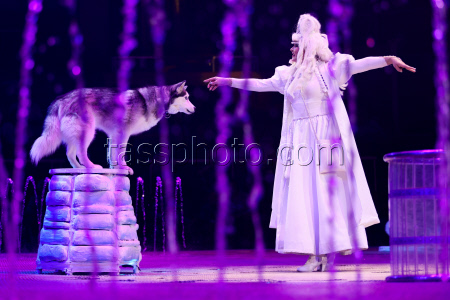 Prince of Circus show in Lugansk