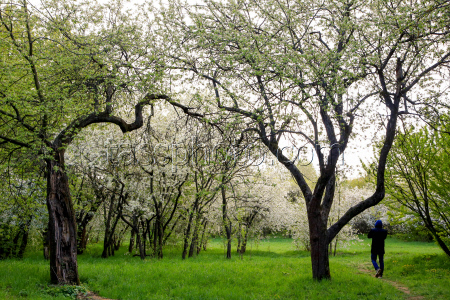 Moscow in spring