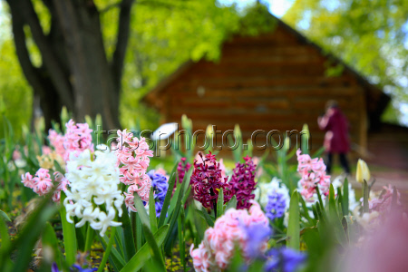 Moscow in spring
